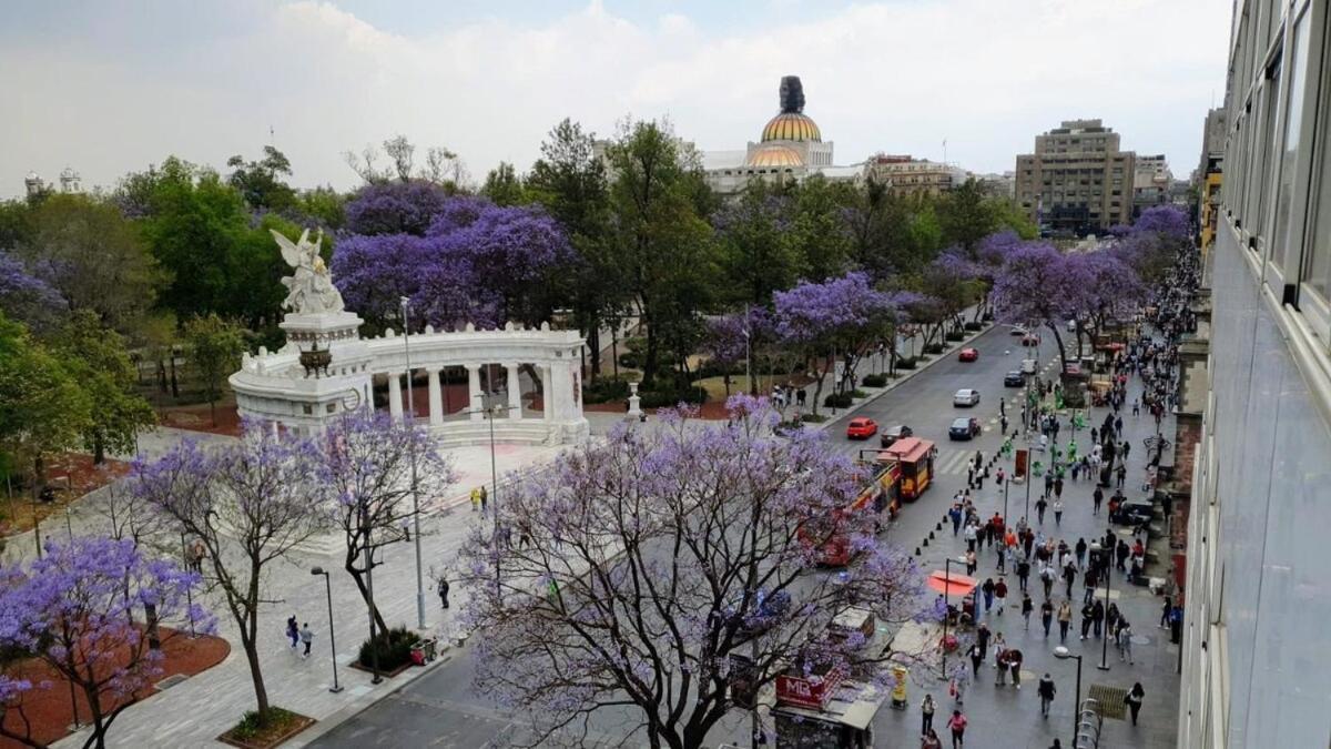 Amazing View To Bellas Artes! 2 Bedrooms *